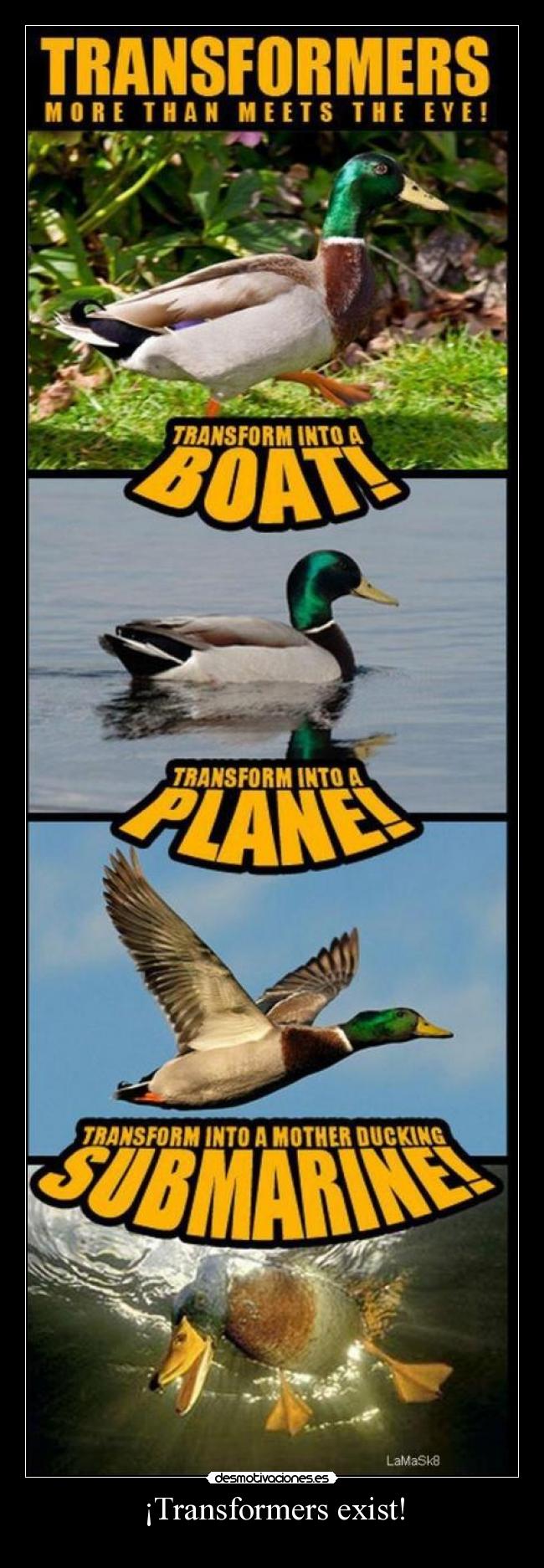 carteles jajajaja desmotivaciones