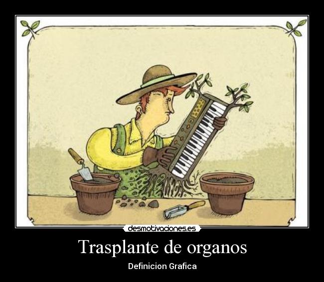 Trasplante de organos - Definicion Grafica