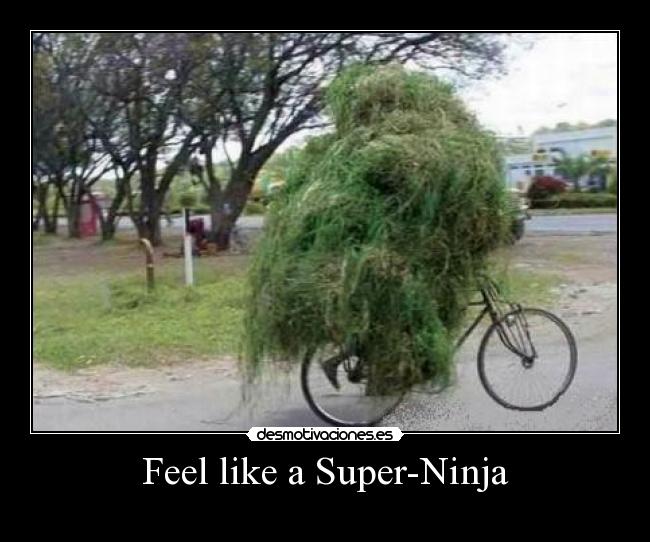 carteles desmotivaciones