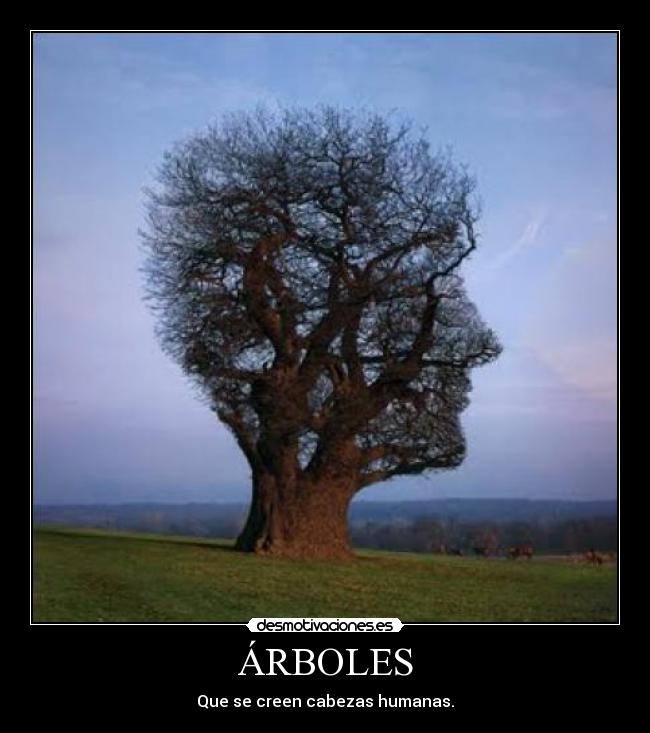 ÁRBOLES - 