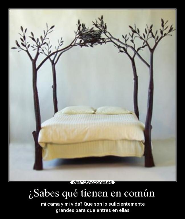 ¿Sabes qué tienen en común -