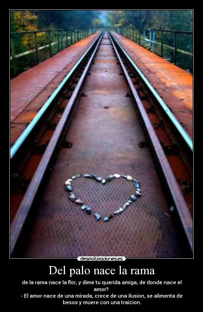 Del palo nace la rama - de la rama nace la flor, y dime tu querida amiga, de donde nace el
amor?
- El amor nace de una mirada, crece de una ilusion, se alimenta de
besos y muere con una traicion.