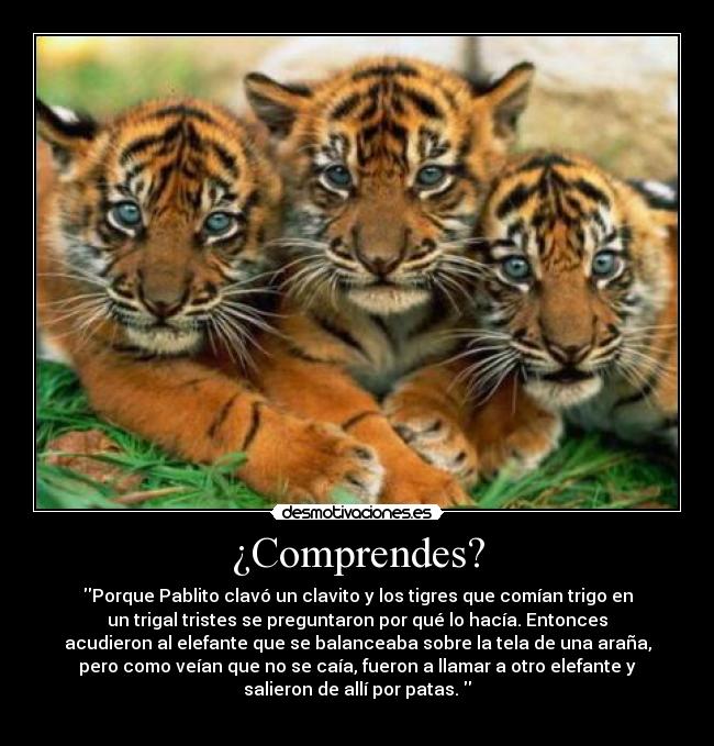 ¿Comprendes? - Porque Pablito clavó un clavito y los tigres que comían trigo en
un trigal tristes se preguntaron por qué lo hacía. Entonces
acudieron al elefante que se balanceaba sobre la tela de una araña,
pero como veían que no se caía, fueron a llamar a otro elefante y
salieron de allí por patas.