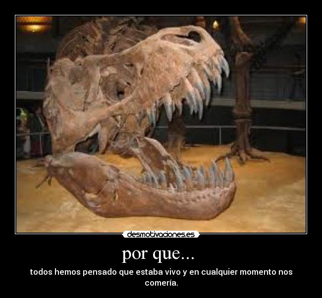 por que... -