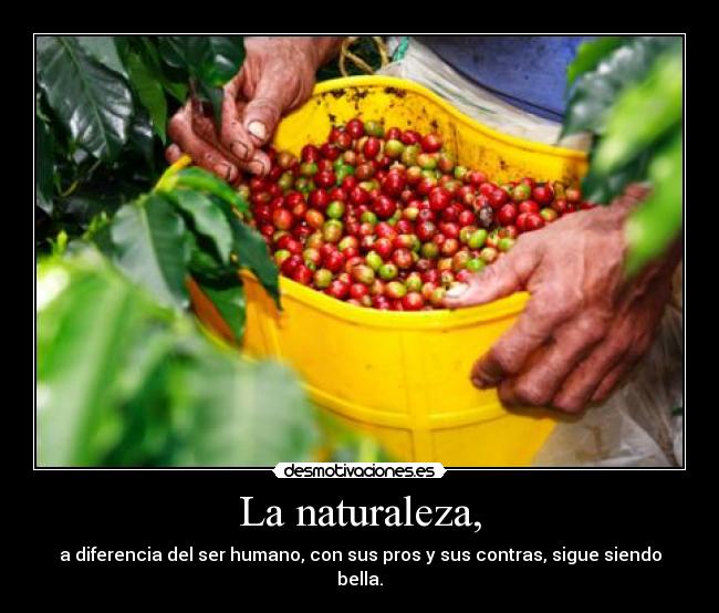 La naturaleza, - 