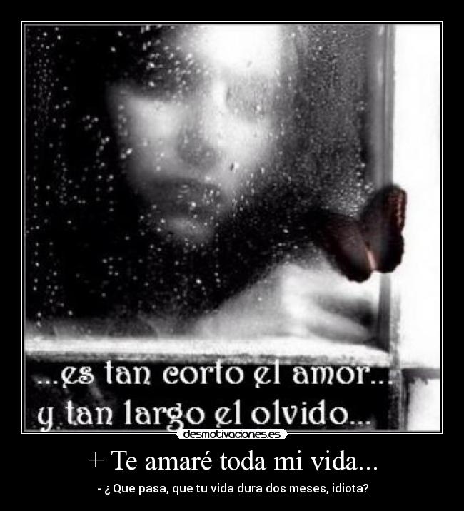 + Te amaré toda mi vida... -