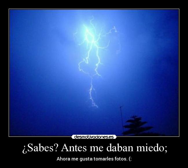 ¿Sabes? Antes me daban miedo; - Ahora me gusta tomarles fotos. (: