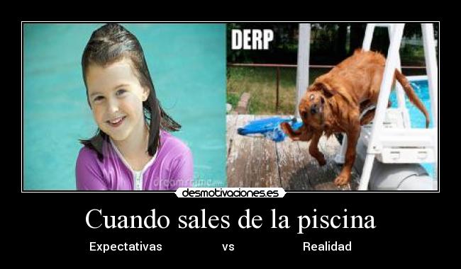 Cuando sales de la piscina -              Expectativas                     vs                        Realidad                    