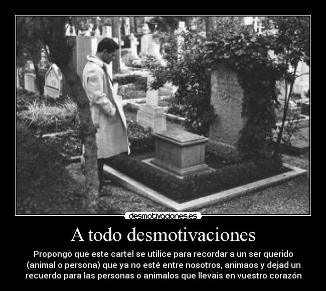 A todo desmotivaciones - Propongo que este cartel se utilice para recordar a un ser querido
(animal o persona) que ya no esté entre nosotros, animaos y dejad un
recuerdo para las personas o animalos que llevais en vuestro corazón