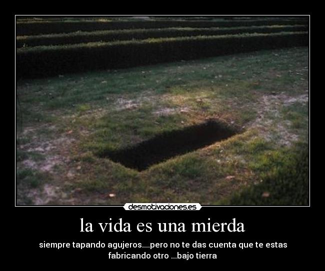 carteles vida vida desmotivaciones