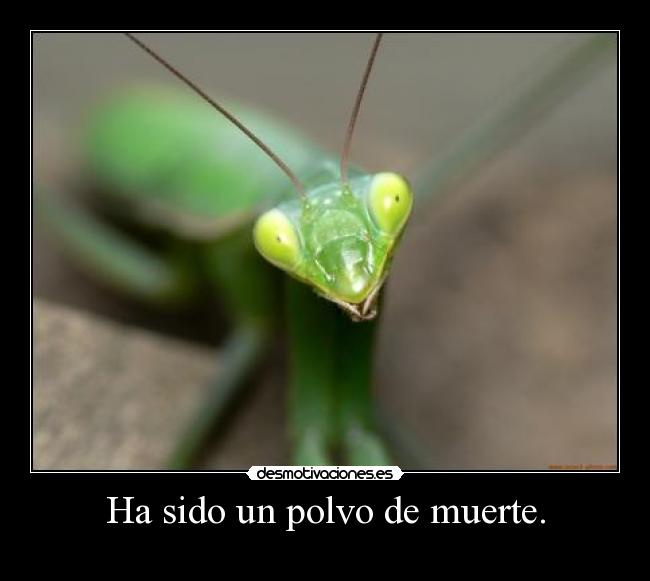 Ha sido un polvo de muerte. -