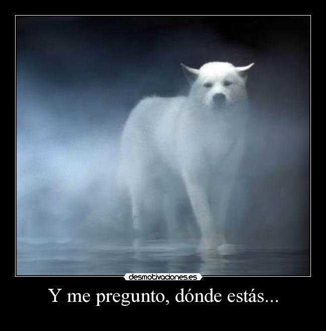 Y me pregunto, dónde estás... - 