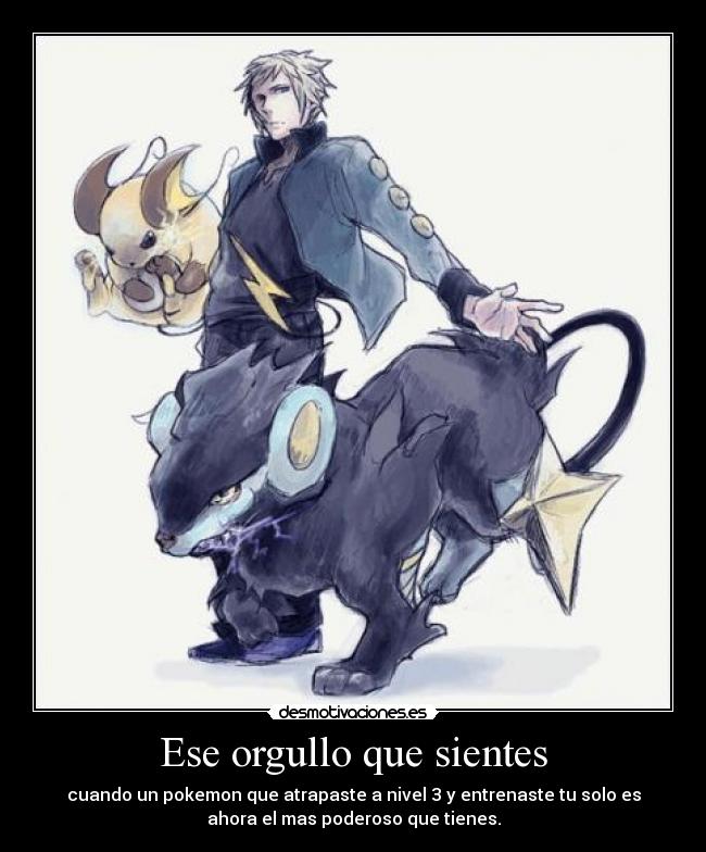 carteles pokemon orgullo desmotivaciones