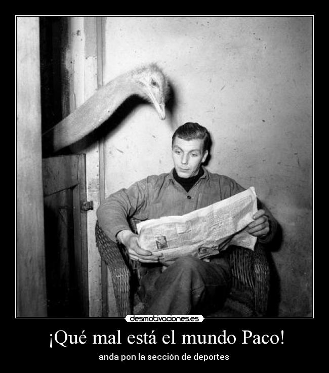 ¡Qué mal está el mundo Paco! -
