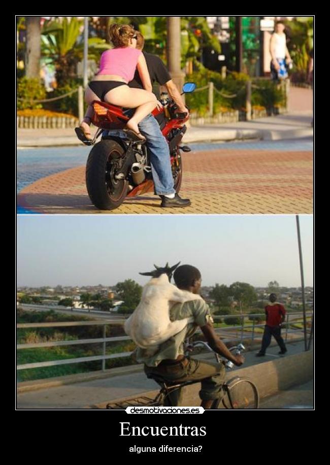 carteles oti77 desmotivaciones