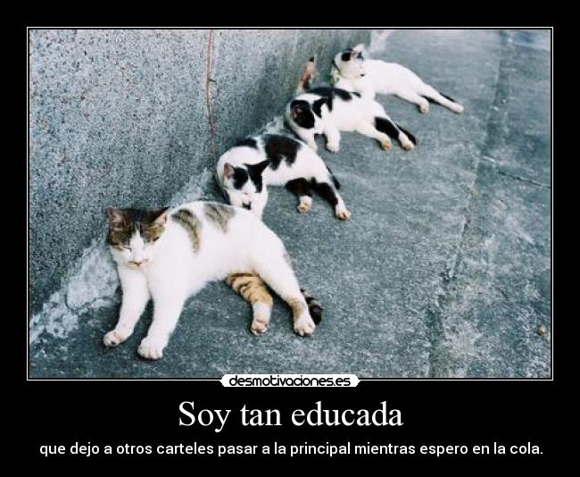 Soy tan educada -