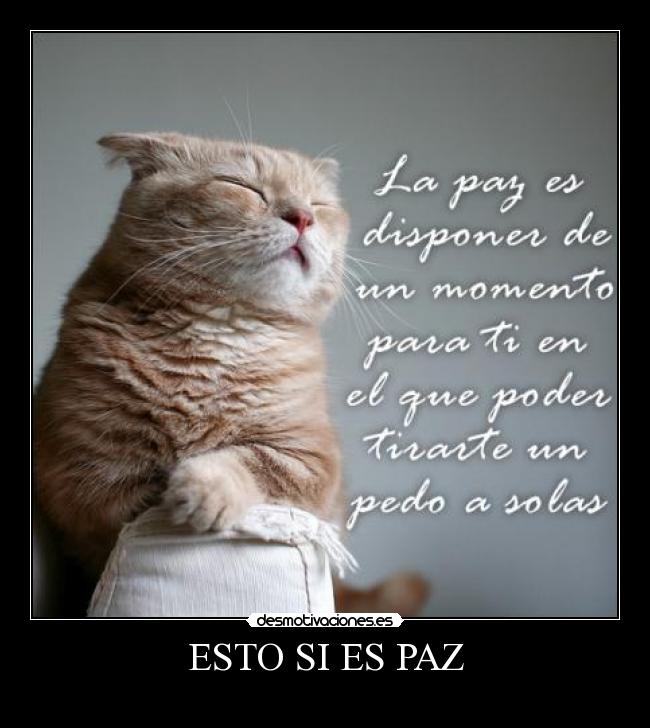ESTO SI ES PAZ - 