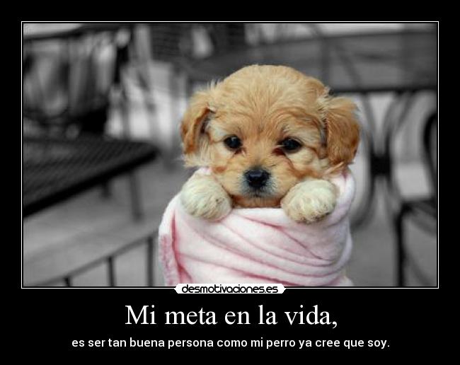 Mi meta en la vida, - 