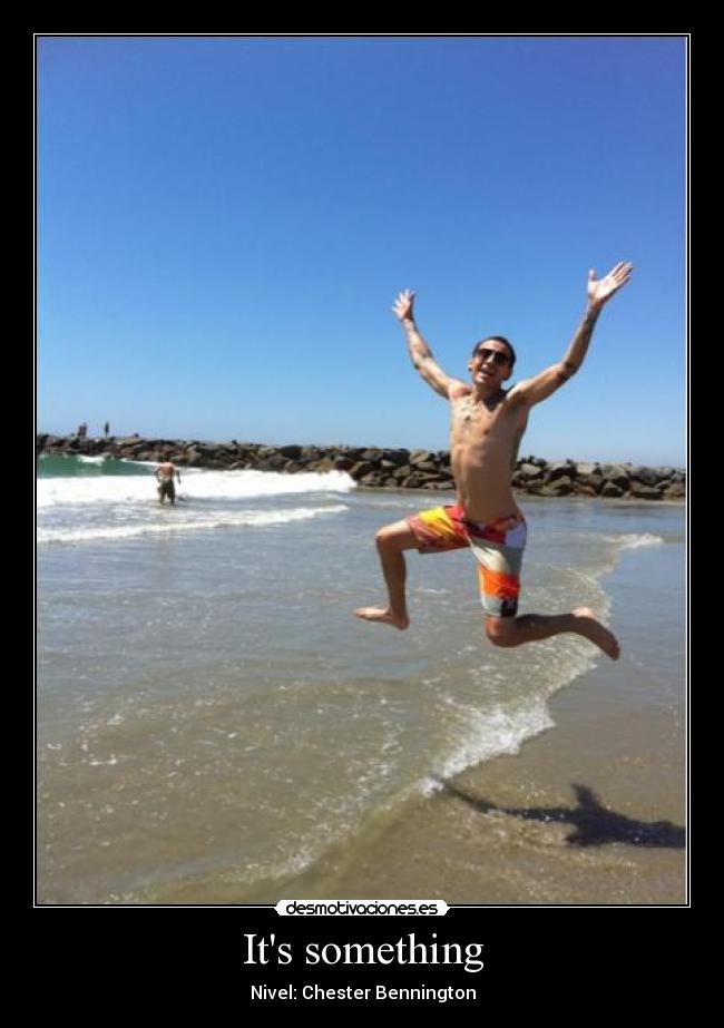 Its something - Nivel: Chester Bennington
