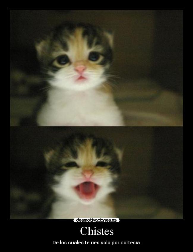 Chistes -