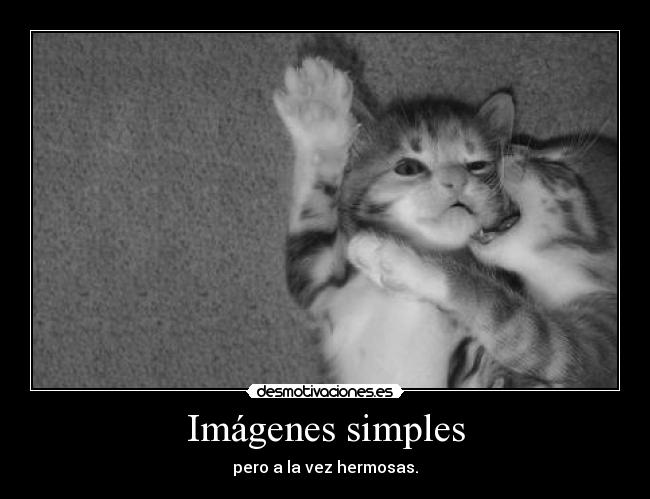 Imágenes simples - 
