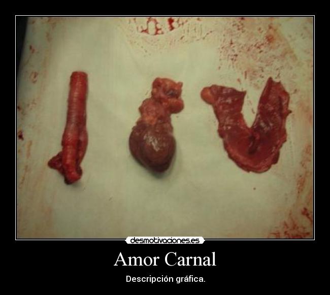 Amor Carnal - Descripción gráfica.