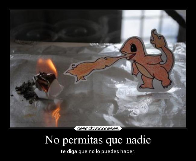 No permitas que nadie - te diga que no lo puedes hacer.