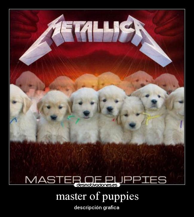 master of puppies - descripción grafica