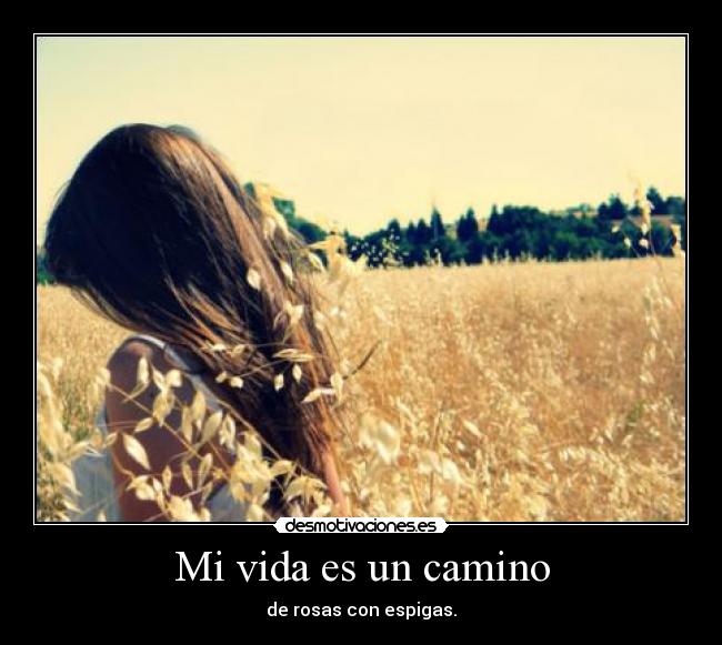 carteles vida love desmotivaciones