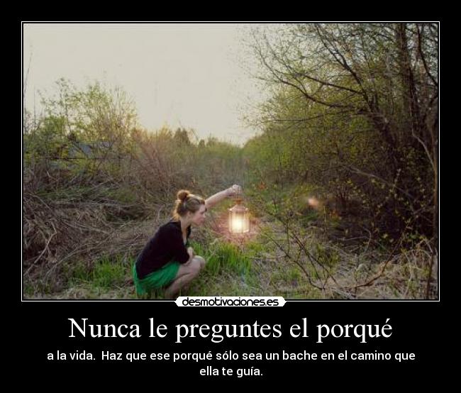 Nunca le preguntes el porqué - 