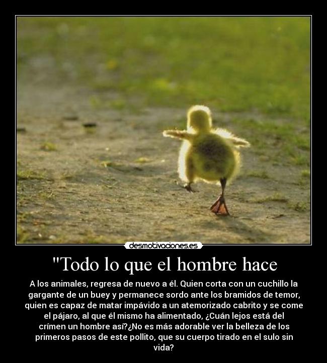 Todo lo que el hombre hace -