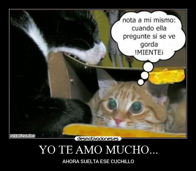 YO TE AMO MUCHO... - AHORA SUELTA ESE CUCHILLO