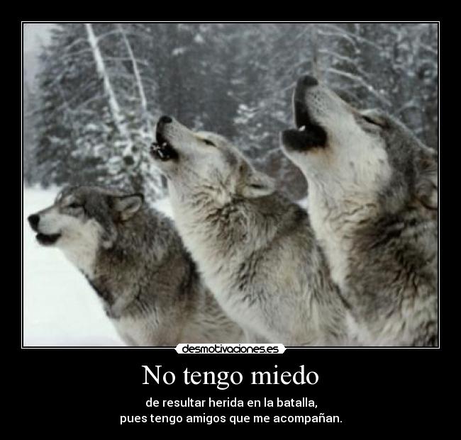 carteles miedo notenermiedoresultarheridabatallaamigoamigosacompanarlobolobos desmotivaciones