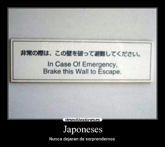 Japoneses - 