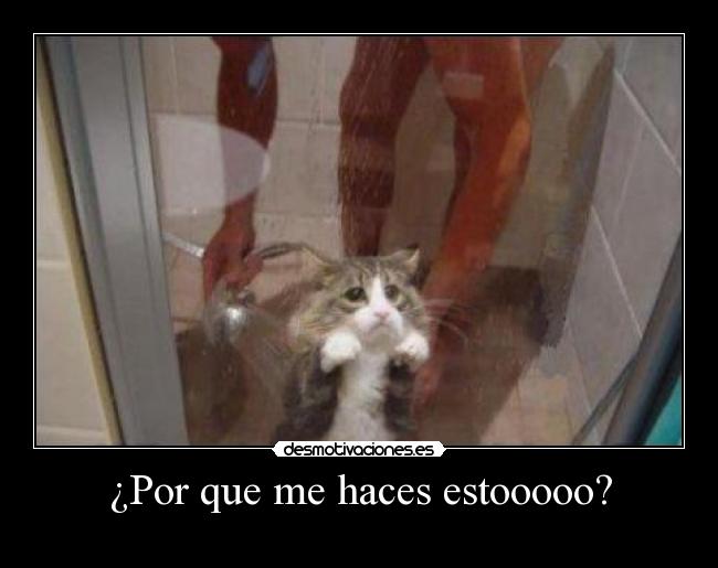 ¿Por que me haces estooooo? -