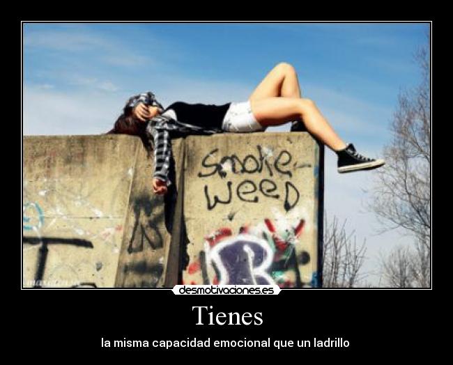 Tienes - la misma capacidad emocional que un ladrillo 