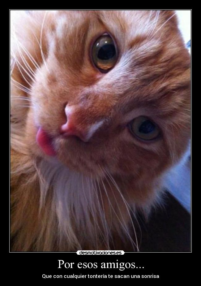 Por esos amigos... - Que con cualquier tontería te sacan una sonrisa
