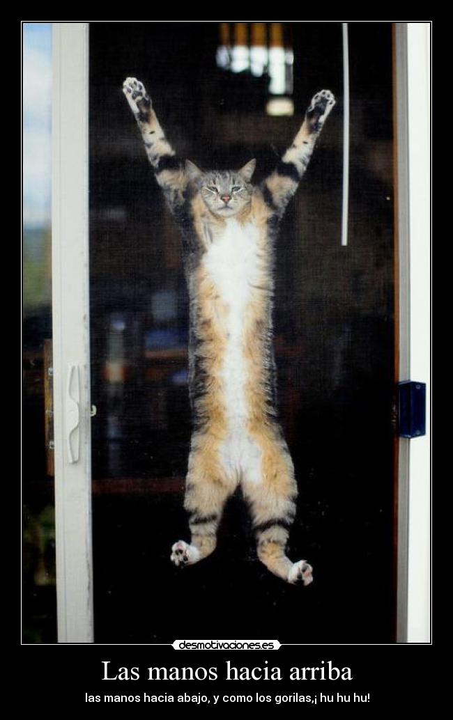 Las manos hacia arriba - las manos hacia abajo, y como los gorilas,¡ hu hu hu!