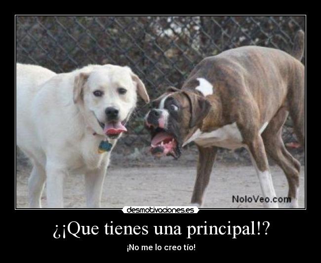 ¿¡Que tienes una principal!? -