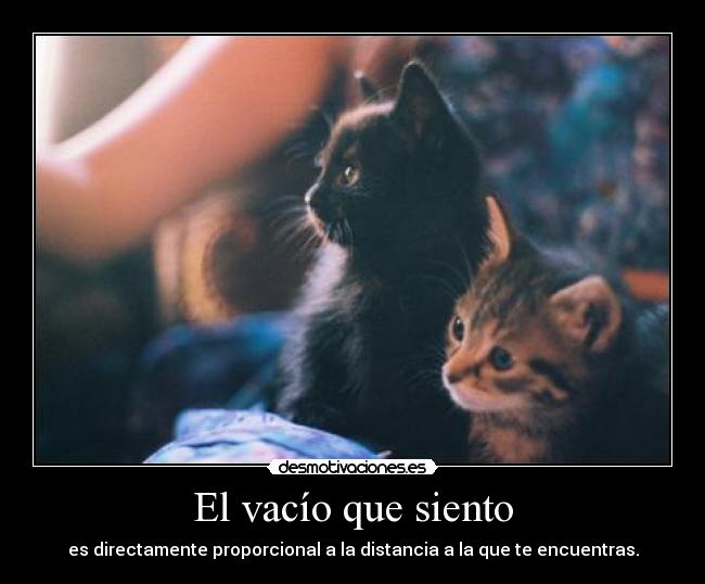 carteles vacio siento directo distancia encontrar desmotivaciones