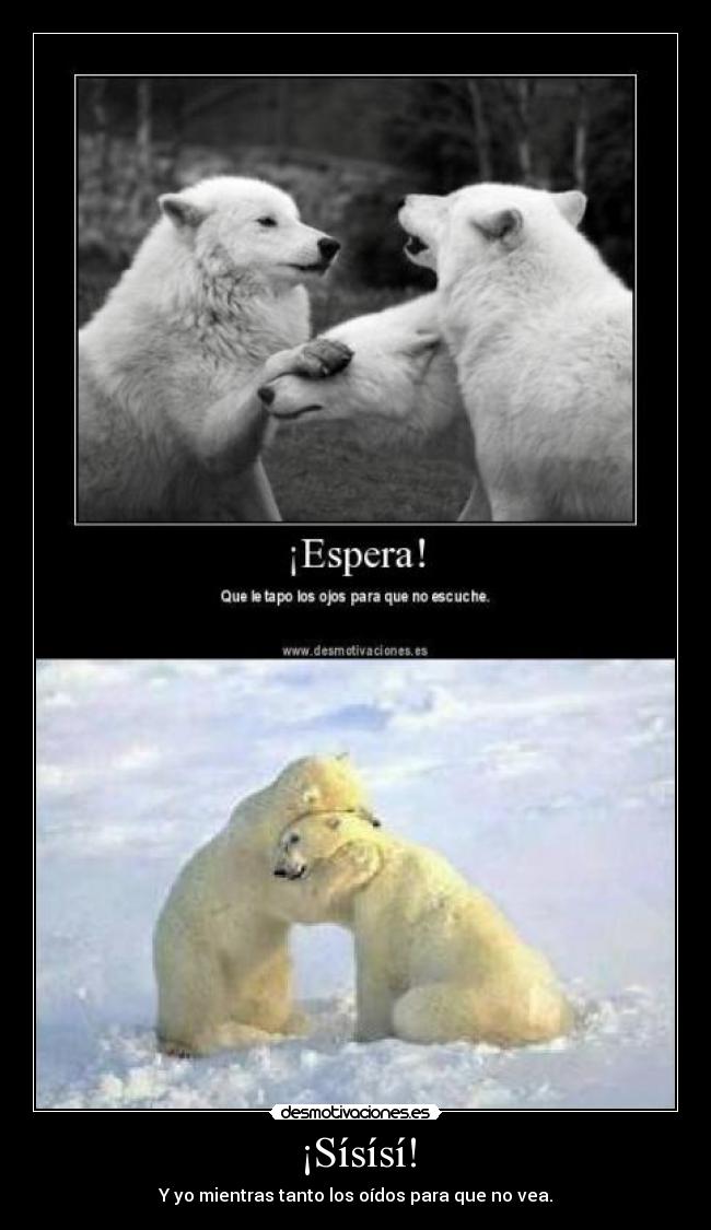 ¡Sísísí! - Y yo mientras tanto los oídos para que no vea.