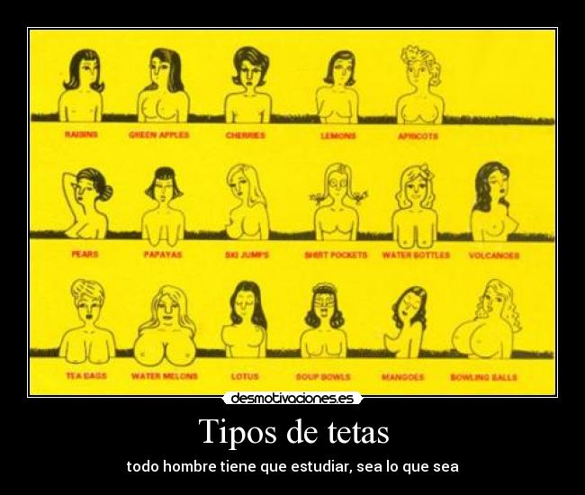 Tipos de tetas -