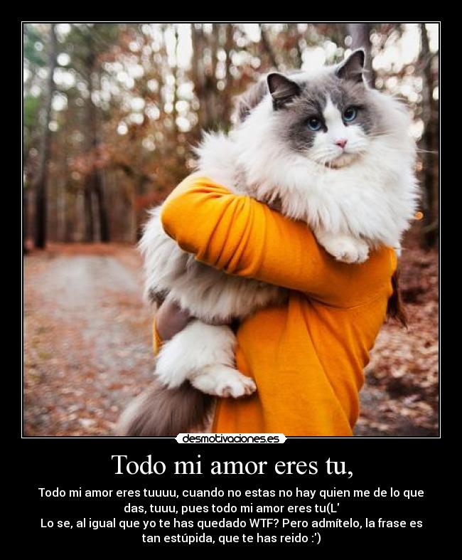 Todo mi amor eres tu, - 