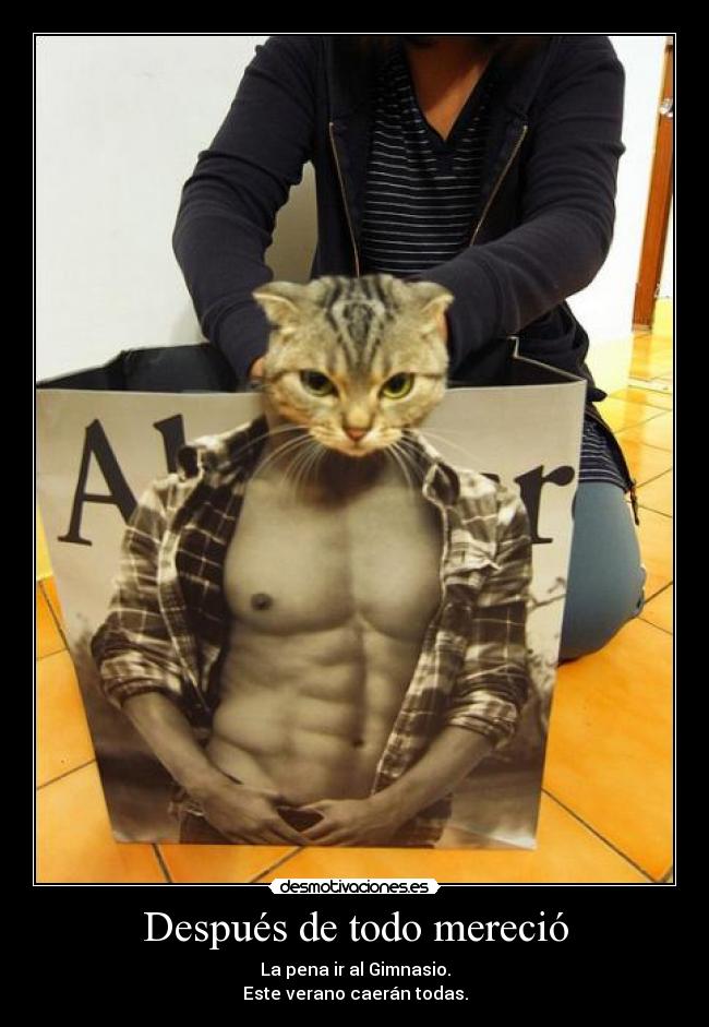 Después de todo mereció - La pena ir al Gimnasio.
Este verano caerán todas.