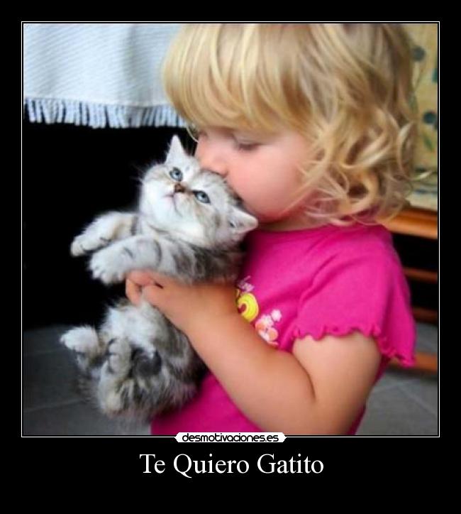 Te Quiero Gatito - 