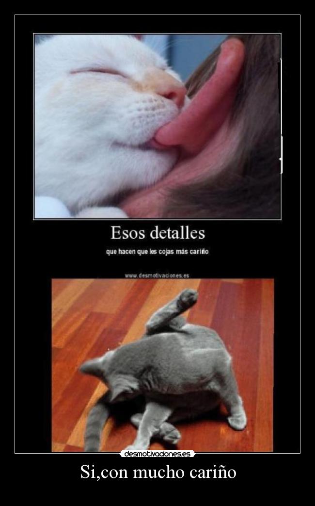 Si,con mucho cariño - 