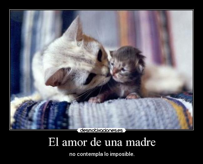 El amor de una madre -