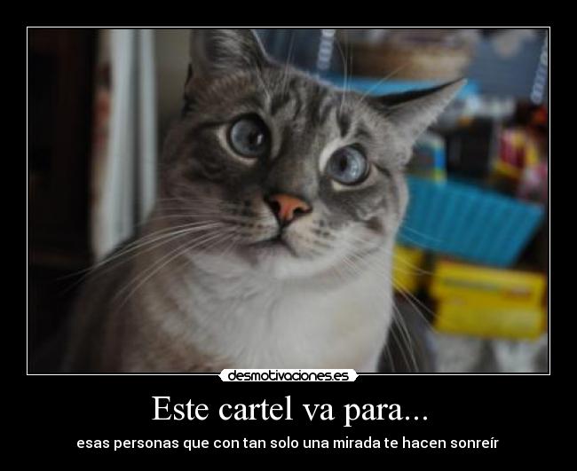 Este cartel va para... - esas personas que con tan solo una mirada te hacen sonreír