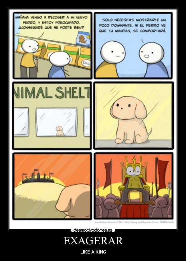EXAGERAR - LIKE A KING