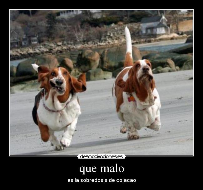 que malo - es la sobredosis de colacao